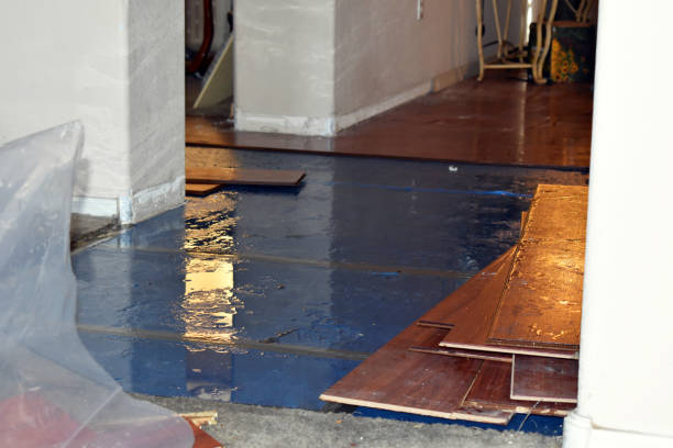 Professional Water Damage Restoration technician working in Amlin, OH